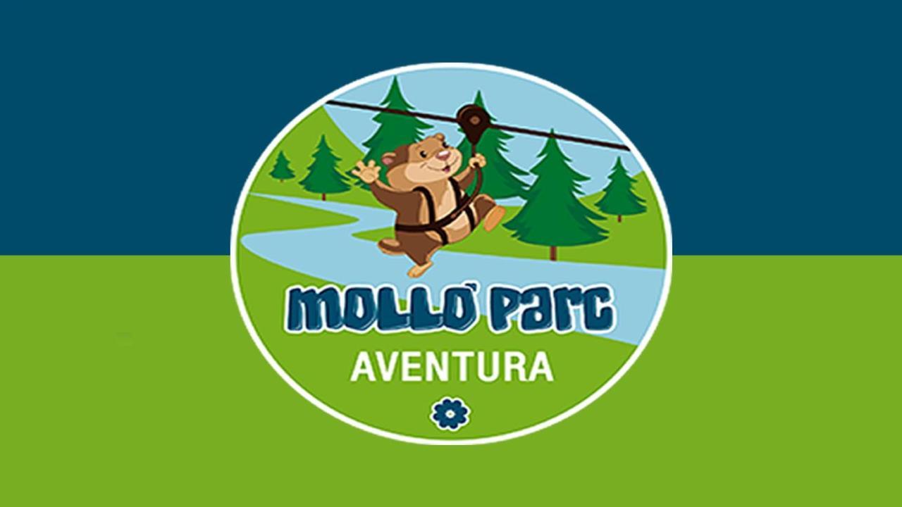 Llanars, En Vall De Camprodon Vistas Montana De Frente, Ascensor, Orientacion Sur, Chimenea, Wifi, Mollo Park, Vallter, Hipica, Golf المظهر الخارجي الصورة
