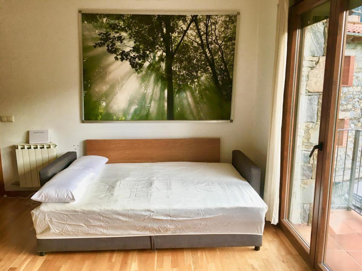 Llanars, En Vall De Camprodon Vistas Montana De Frente, Ascensor, Orientacion Sur, Chimenea, Wifi, Mollo Park, Vallter, Hipica, Golf المظهر الخارجي الصورة